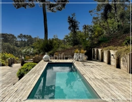 Vignette - Prestigious - SOORTS-HOSSEGOR – CONFIDENTIAL PROPERTY BETWEEN PINES, DUNES AND OCEAN.