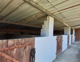 Vignette - Equestrian - House