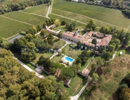 Vignette - Viticole - MAGNIFIQUE CHÂTEAU HÔTEL HISTORIQUE ET VIGNOBLE TRÈS PROCHE DE BORDEAUX