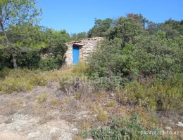 Vignette - Agricole - POUR LES AMOUREUX DE LA NATURE,TERRAIN AGRICOLE D'ENVIRON 3HA