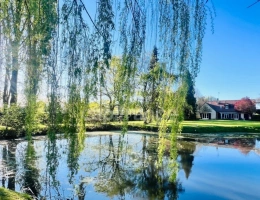 Vignette - Rural - 10MN DU MANS PROPRIETE AVEC PARC ARBORE ET 100M2 DE DEPENDANCE GARAGES