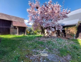 Vignette - Rural - Terrain et granges à vendre SAINTE HELENE DU LAC (73)