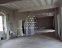 Vignette - Prestige - Château/vignoble d’appelation “Saumur” rénové. Idéal pour mariages et évènementiel