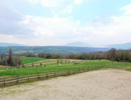 Vignette - Équestre - À VENDRE - Propriété équestre avec fort potentiel (écurie
