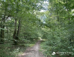 Vignette - Prestigious - PROPRIÉTÉ