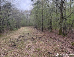 Vignette - Prestigious - PROPRIÉTÉ de 165ha