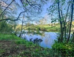 Vignette - Rurale - Terrain à vendre de 1 500m² AVAILLES THOUARSAIS (79)