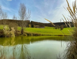 Vignette - Équestre - Domaine équestre d’exception sur 40 hectares — Authenticité, nature et passion proche de Penne d’Agenais (47)