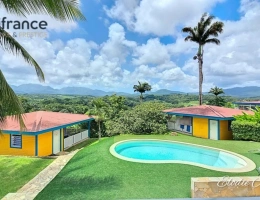 Vignette - Touristique - Propriete à vendre 28 pièces PETIT BOURG (971)