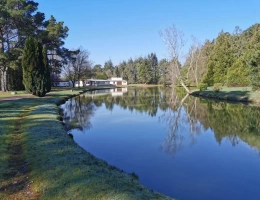 Vignette - Forestière - Guinguette