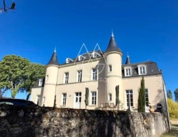 Vignette - Prestige - Magnifique château prêt à emménager à 20 min de Tours! Prenez simplement les clés et installez-vous