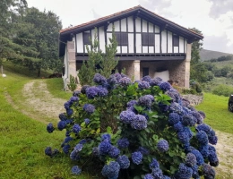 Vignette - Rural - Property for sale 7 rooms SARE (64)