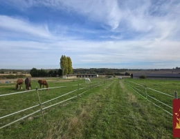 Vignette - Équestre - Ancien poney club sur 10 hectares -