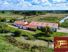 Vignette - Équestre - Maison Bois De Céné 6 pièce(s) 100 m2,  8 Hectares hangars et dépendances
