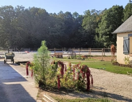 Vignette - Équestre - Propriété équestre d'exception proche Paris installations complètes & cadre privilégié