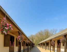 Vignette - Équestre - Ecurie trés bien placée 95