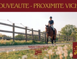 Vignette - Équestre - Structure équestre 9 hectares + nombreux fermages