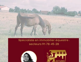Vignette - Équestre - Ecurie proche Paris