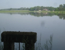 Vignette - Prestige - Propriete à vendre sur 35 hectares, 14 pièces piscine, tennis, chasse, pêche, équitation, au coeur de la Dombes