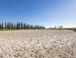 Vignette - Équestre - Ecurie à forte rentabilité - Activité de transit