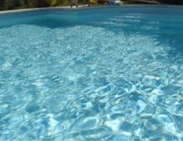 Vignette - Prestige - Propriete VILLA avec PISCINE et  PARC vendre 8 pièces secteur SAIGNON (84)