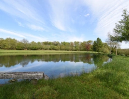 Vignette - Rural - Two Ponds in GER 50850