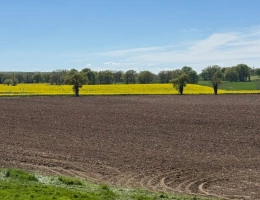Vignette - Agricole - Exploitation céréalière de 546 ha à vendre Allier