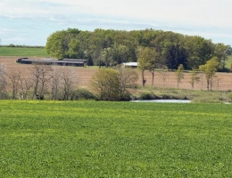 Vignette - Agricole - Exploitation céréalière de 546 ha à vendre Allier