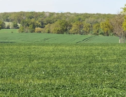 Vignette - Agricultural - Exploitation céréalière de 546 ha à vendre Allier