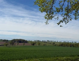 Vignette - Agricole - Exploitation céréalière de 546 ha à vendre Allier