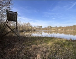 Vignette - Forestière - Propriété de Chasse et d'Agrément de 125 hectares en Sologne