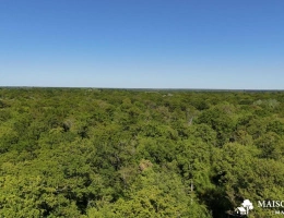 Vignette - Forestière - FORÊT de 38 ha