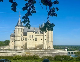 Vignette - Prestige - Propriete d'exception à vendre à SAUMUR (49400)  Panorama d'exception sur le château et la Loire - 328m² - 2278m²-piscine