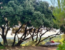 Vignette - Touristique - Propriété d’exception – Plus de 4 hectares avec gîtes et vue panoramique