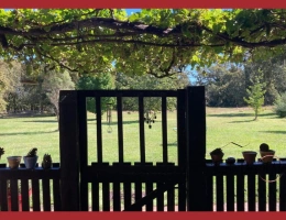 Vignette - Equestrian - PROPRIÉTÉ ÉQUESTRE+GITE, 7HA