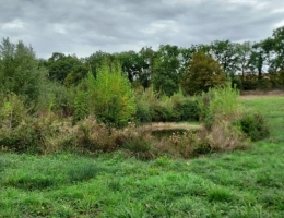 Vignette - Rurale - Dpt Gers (32), à vendre GIMBREDE terrain de loisirs, avec lac de pêche