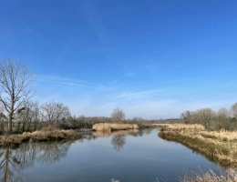 Vignette - Forest - Exceptionnel domaine cynégétique et halieutique dans la Bresse