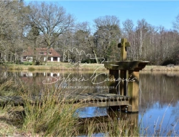 Vignette - Forest - 60-hectare hunting or leisure estate in Sologne