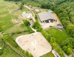 Vignette - Equestrian - Horse and pony breeding and development stable
