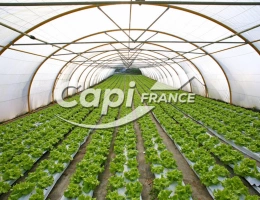 Vignette - Agricultural -  Ensemble agricole avec maison d’habitation – moins de 50 hectares proche de SAINT POURCAIN SUR SIOULE (03)