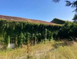 Vignette - Équestre - Vends corps de ferme en Dordogne - Périgord Vert - Nontron avec 5ha environ (jusqu'à 31,50 ha possible)