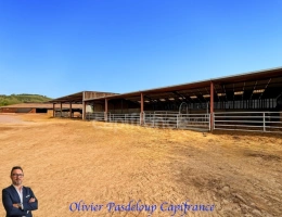 Vignette - Rurale - Propriete à vendre 2 pièces JONCY (71)