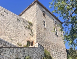 Vignette - Prestige - Tour médiévale dans l'un des plus beaux villages de France - Quercy Blanc