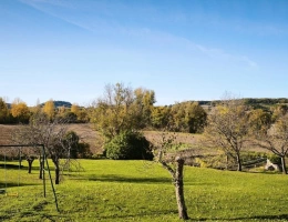 Vignette - Touristique - Charmante propriété en pierre avec gîte et dépendances - Entre Lauzerte et Cahors