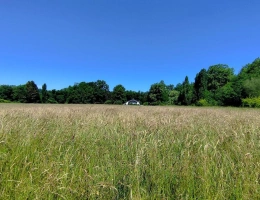Vignette - Équestre - Propriété agricole de caractère avec moulin, terres et bâtiments à 40 minutes de Hossegor