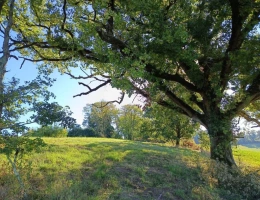 Vignette - Agricole - Terrain de 9582m²
