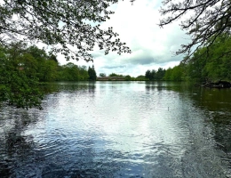 Vignette - Équestre - Moulin rénové avec étang, piscine et 8 hectares de terrains