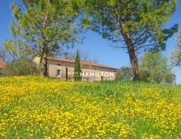 Vignette - Prestigious - PROPERTY WITH SEVERAL RENTAL ACCOMMODATIONS AND RECEPTION/MEETING FACILITIES