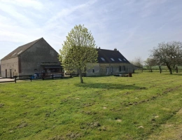 Vignette - Equestrian - ? Propriété équestre de caractère - Domaine de plus de
