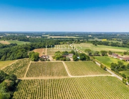 Vignette - Viticole - Vente Superbe domaine de Bas Armagnac Biologique